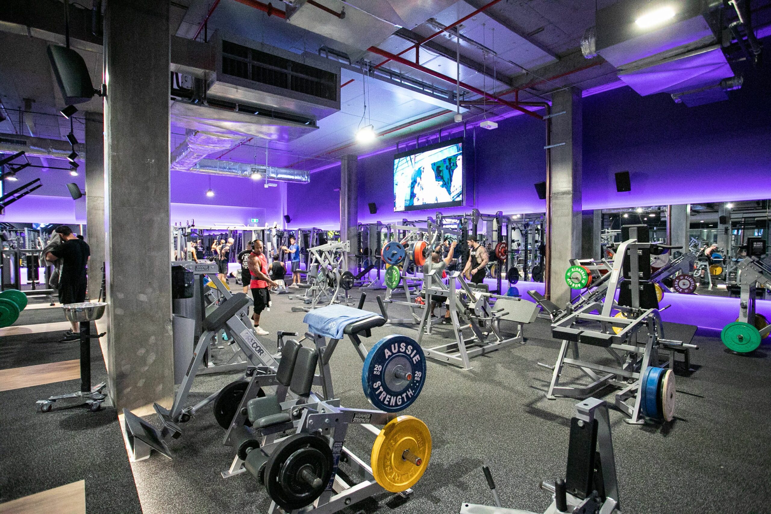 case-study-anytime-fitness-emperor